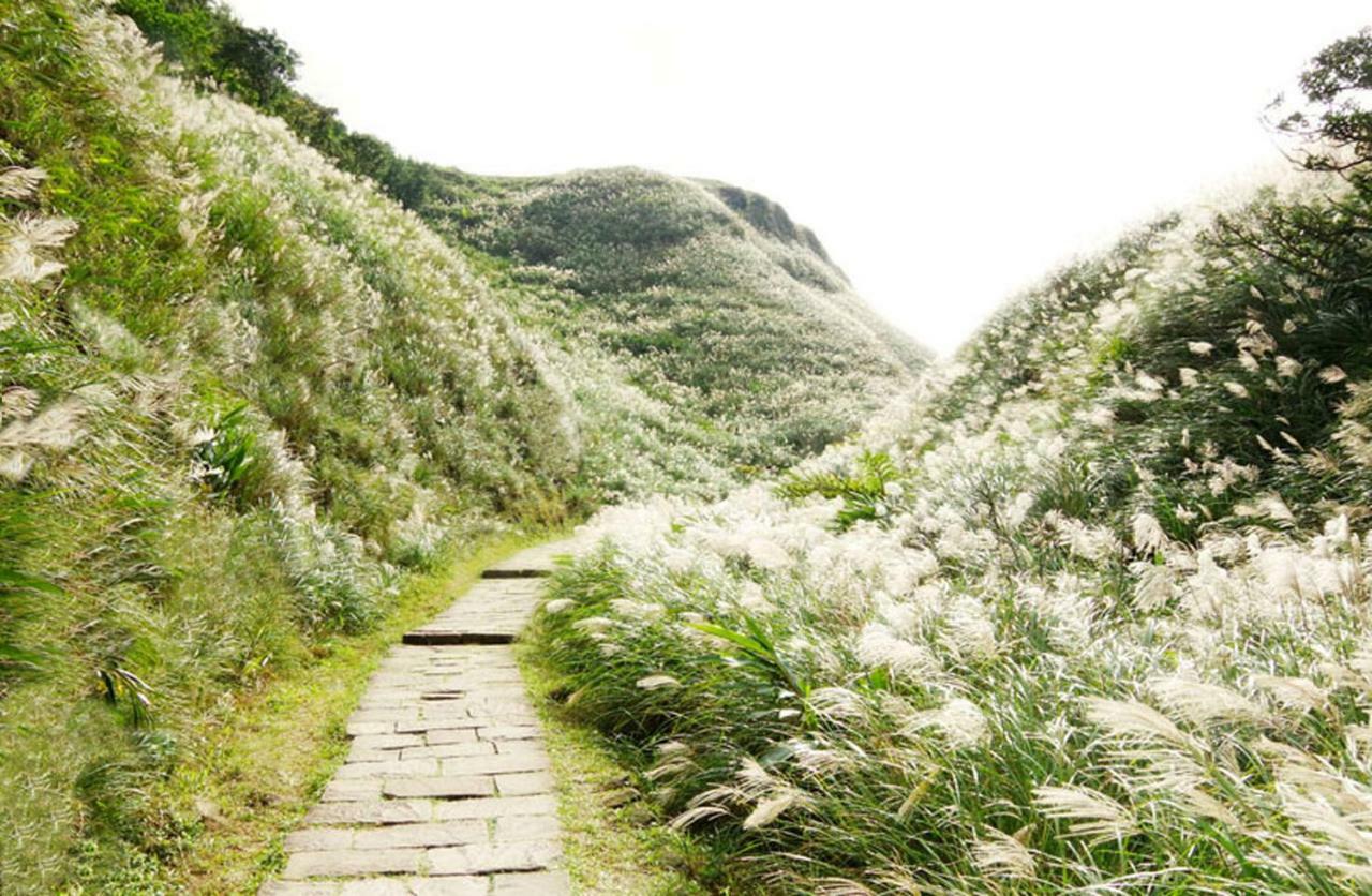 Migratory Birds Hotel 頭城鎮 エクステリア 写真